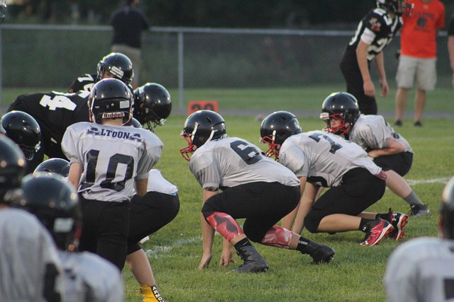 地社区结合 地社区结合