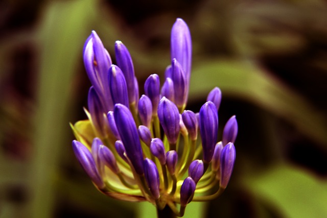 经济的发展 经济的发展