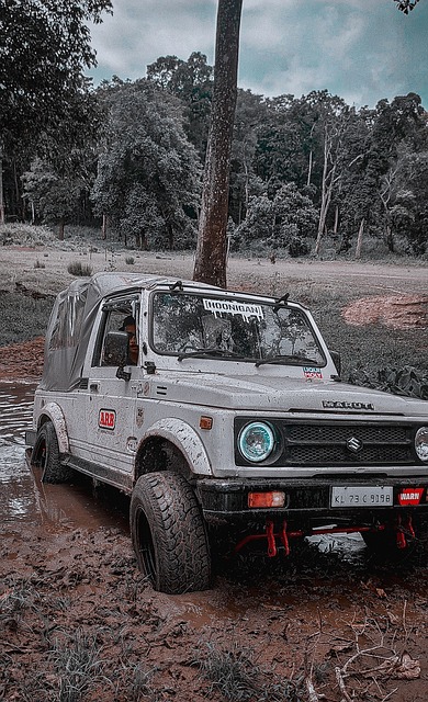 进行的投入 进行的投入