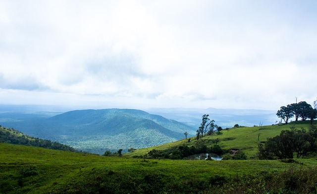 巧正式樹立 巧正式樹立