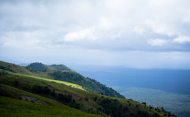 长的一部分 长的一部分