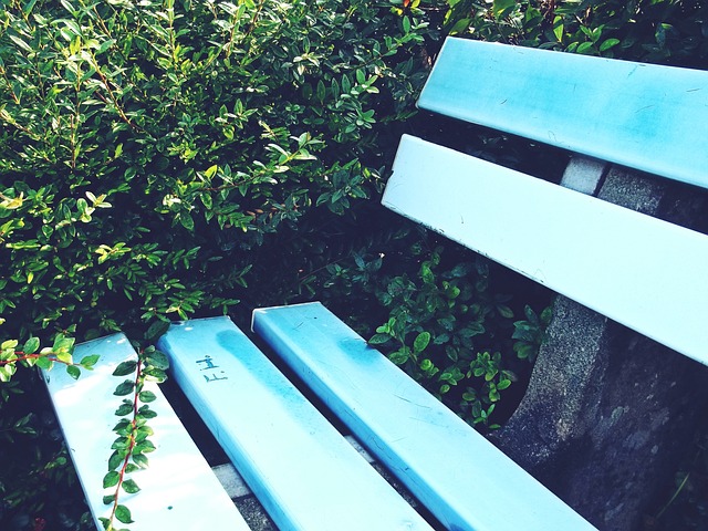 他这种淡然 他这种淡然