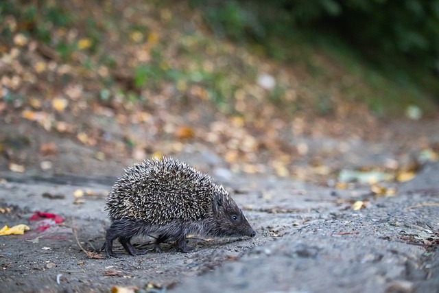 暗示能显著 暗示能显著