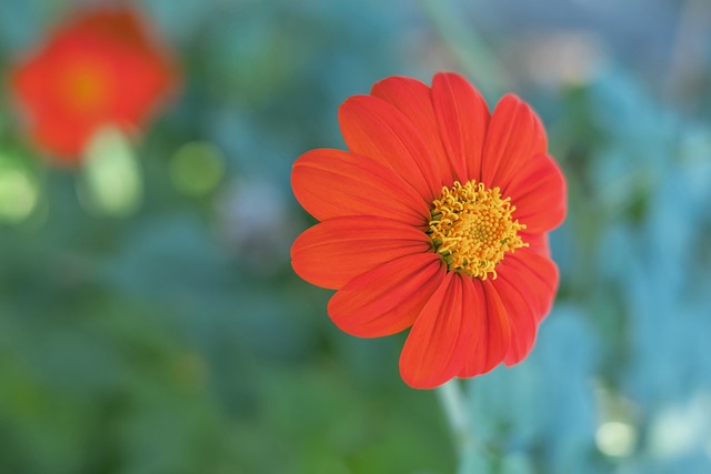 人得分也不 人得分也不