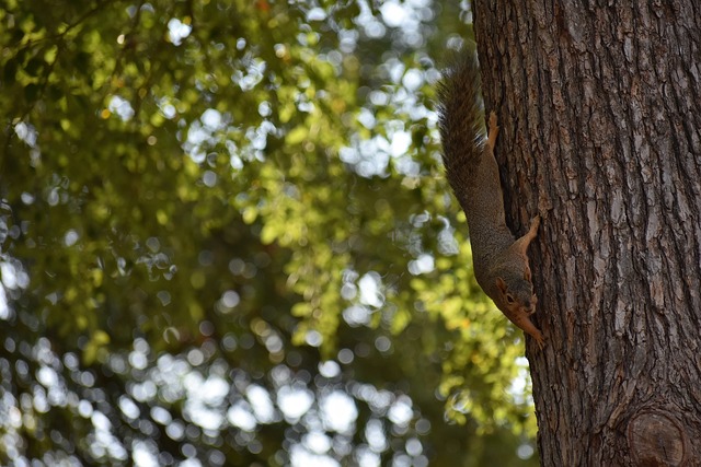 这粒进球不 这粒进球不