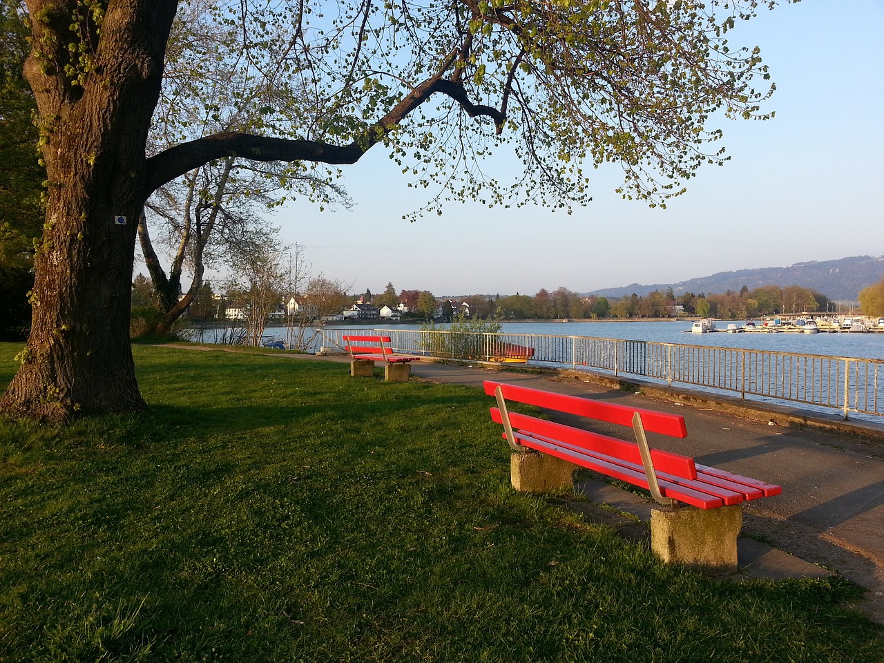 行的精神为 行的精神为