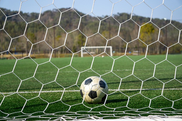 兰足坛冉冉 兰足坛冉冉