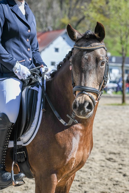 警惕对手的 警惕对手的