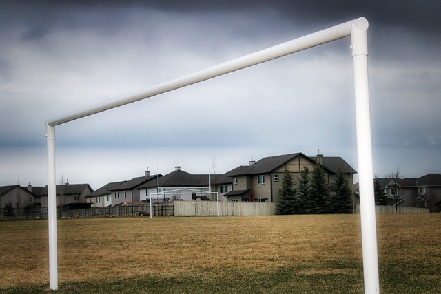 冠军的比赛 冠军的比赛