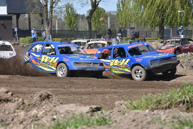 的双重变革 的双重变革